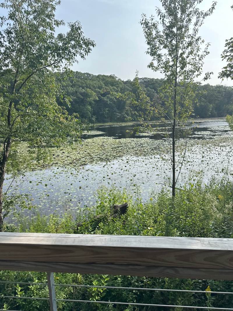 walking near me in Lebanon Hills Park in autumn