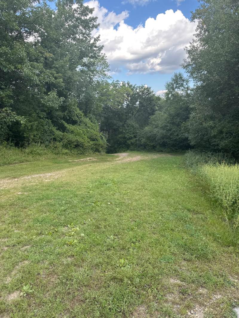 walking near me in Hyland Lake Park Reserve in autumn