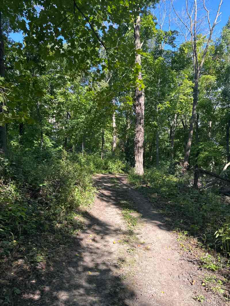 walking near me in Oxbow Park in autumn