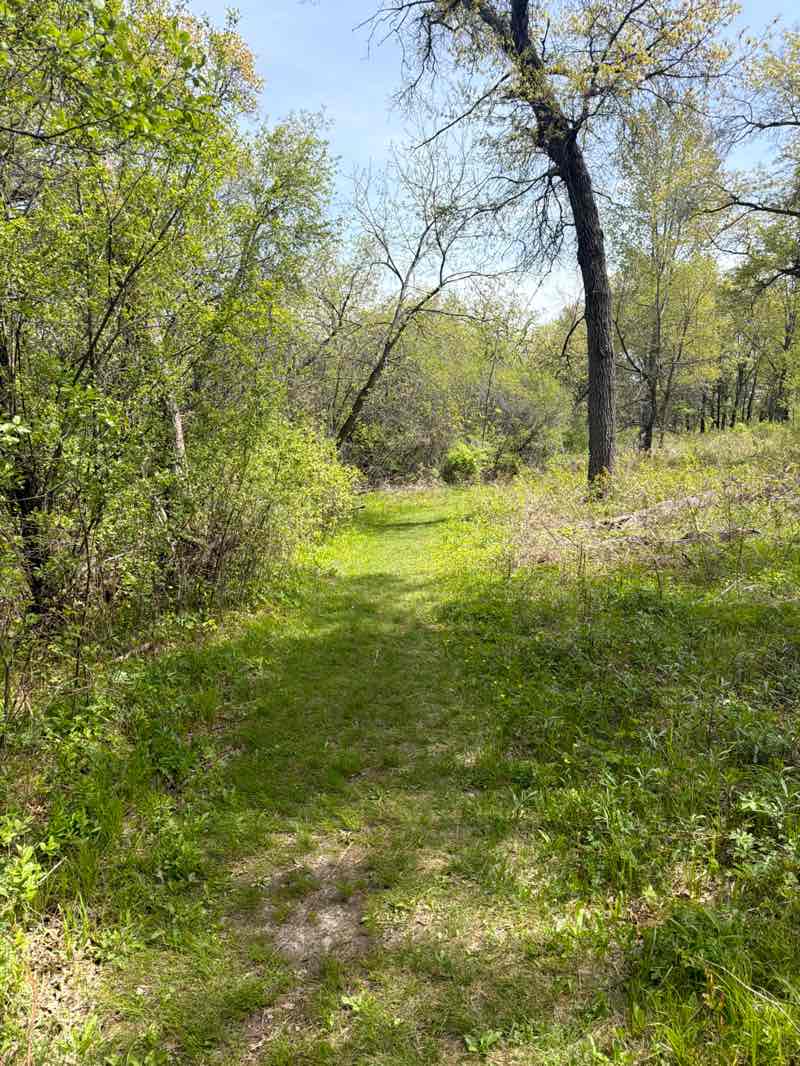 walking near me in Quarry Hill Park in spring