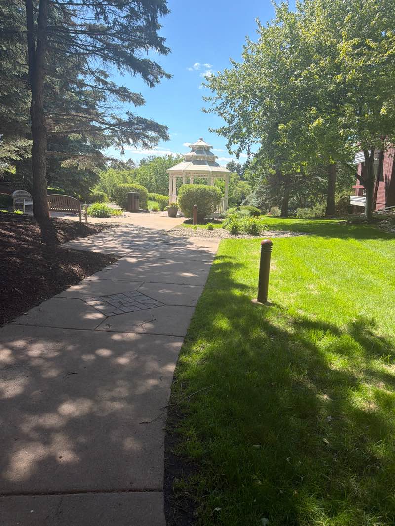walking near me in Centennial Lakes Park in summer