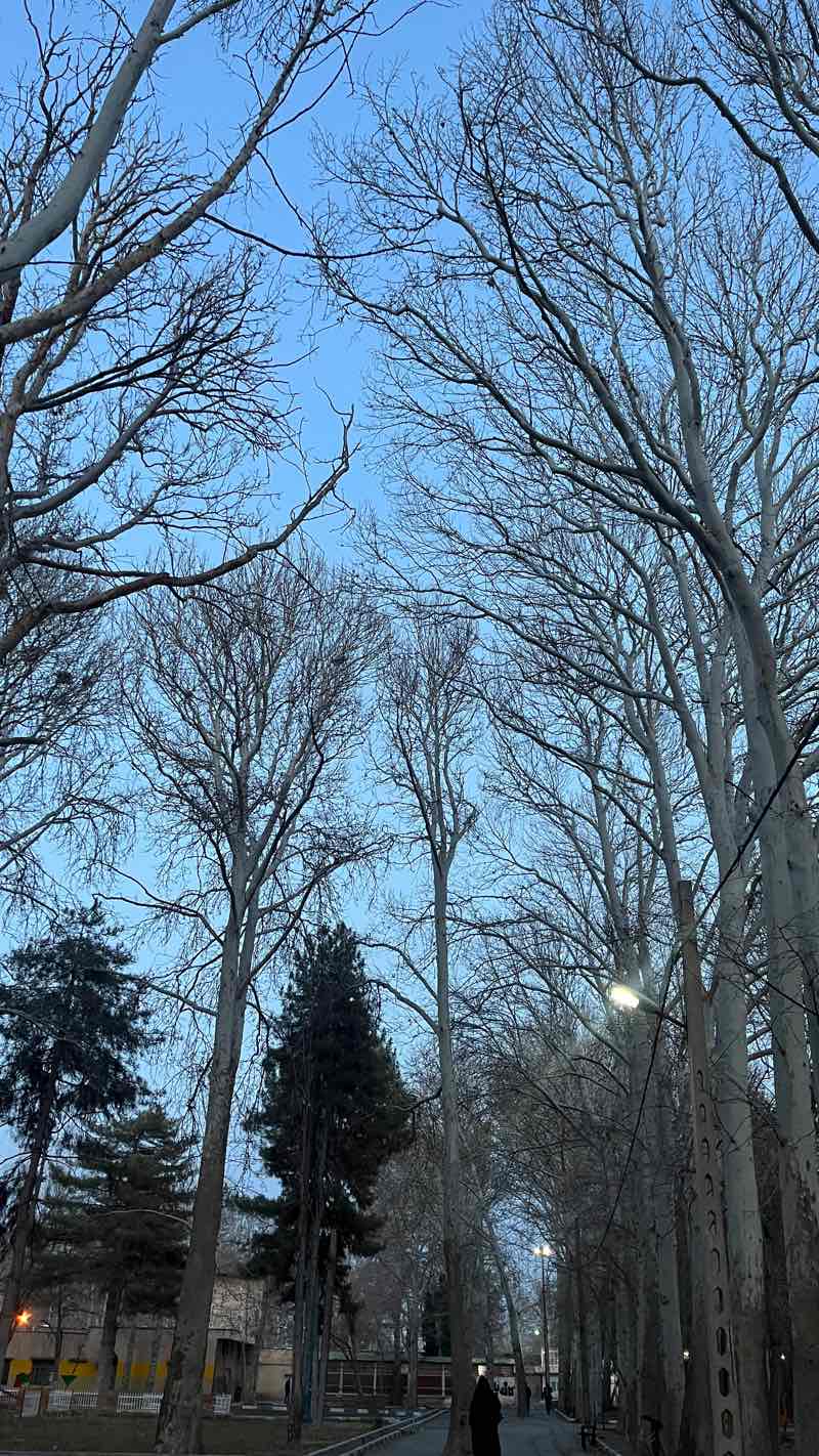 walking near me in پارک افرا ماهدشت in winter