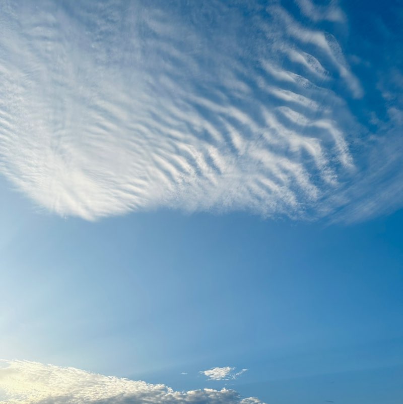 GCC to the World 🌍 N. post image