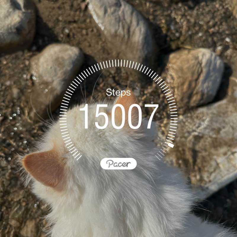 GCC to the World 🌍 N. post image