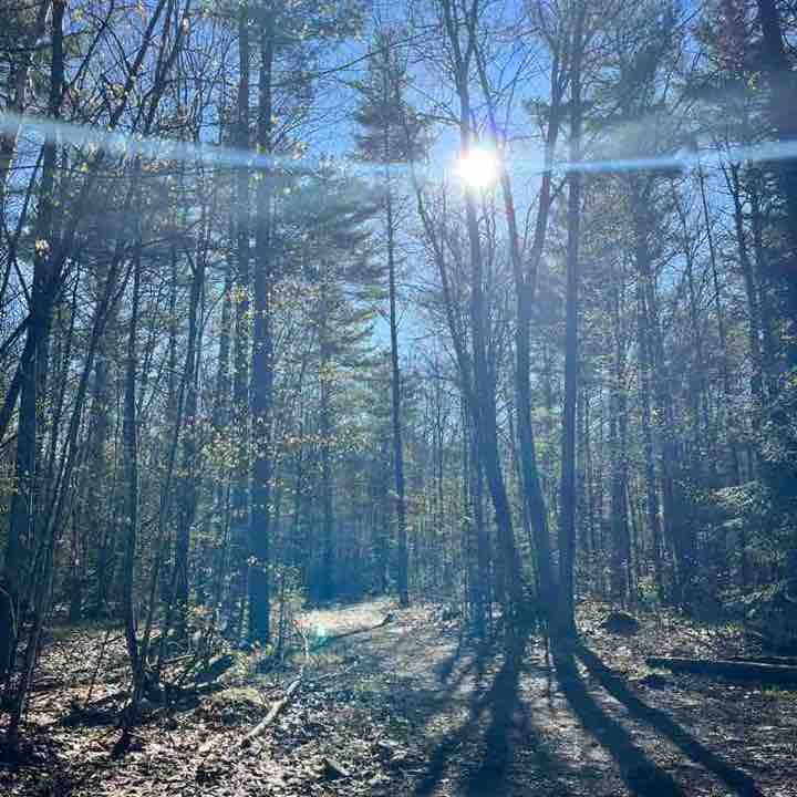 Habitat for Humanity Canada Laurissa Erickson post image