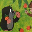 一块不愿透露姓名的舒肤佳