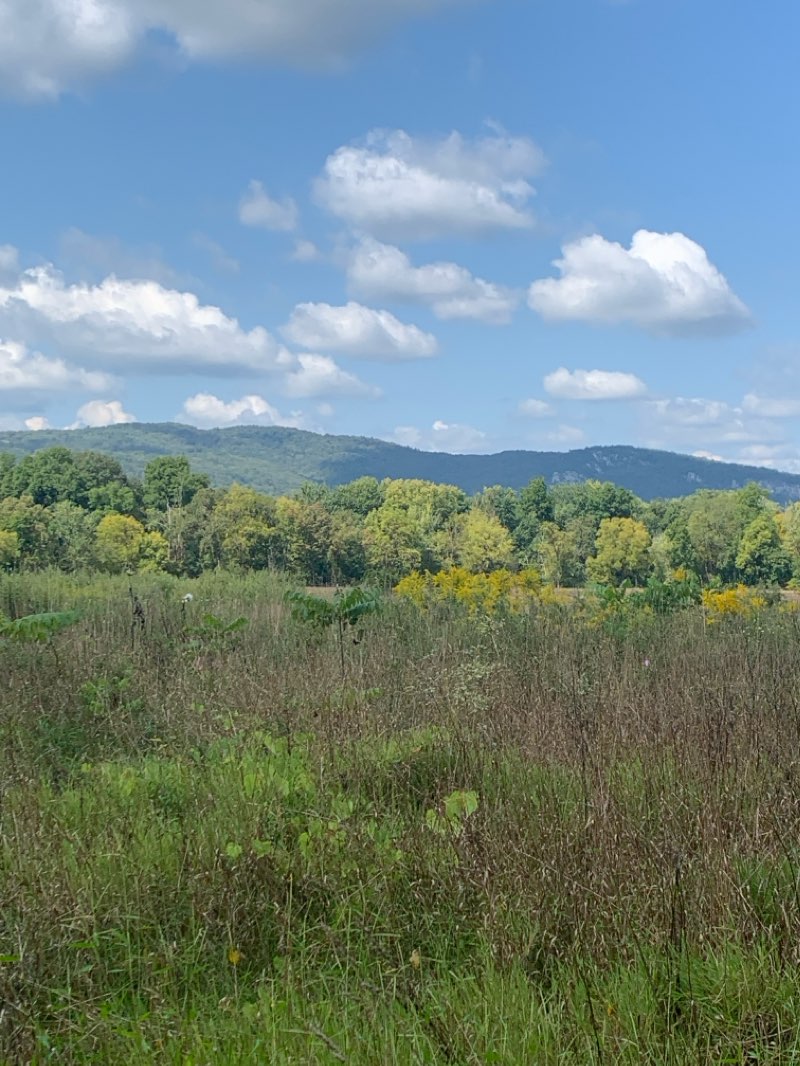 walking near me in Nyquist-Harcourt Wildlife Sanctuary in winter