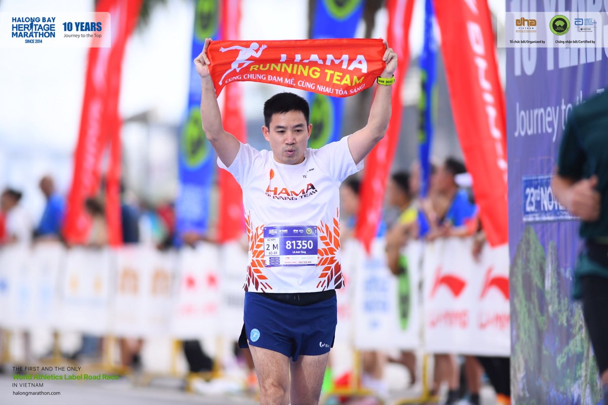 Lê Anh Tùng profile