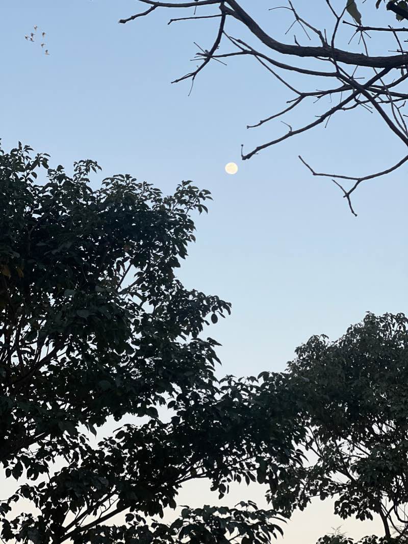 walking near me in Plaza Italia in summer