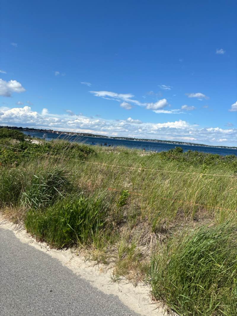 walking near me in Red Rock Park in summer