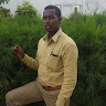 Hassan Bajele