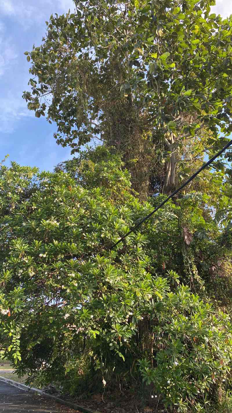 walking near me in Stadium Park in winter