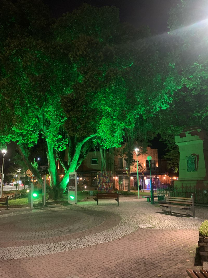 walking near me in Praça Hercílio Luz in summer