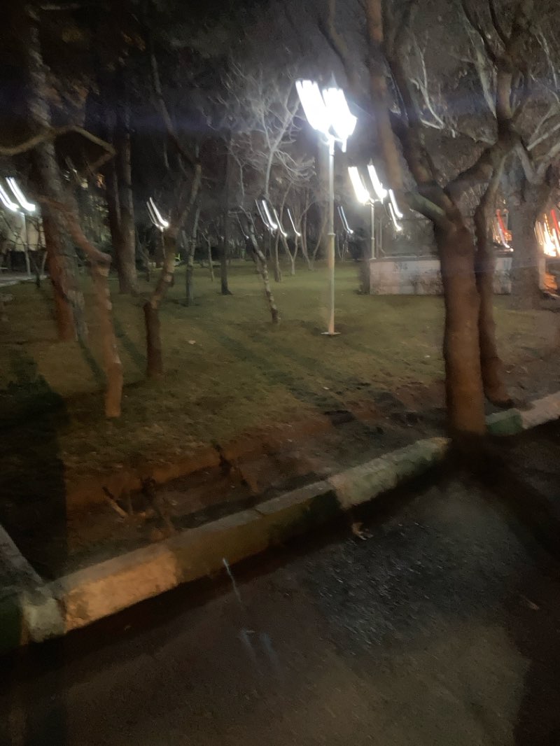 walking near me in Izadi Park in winter