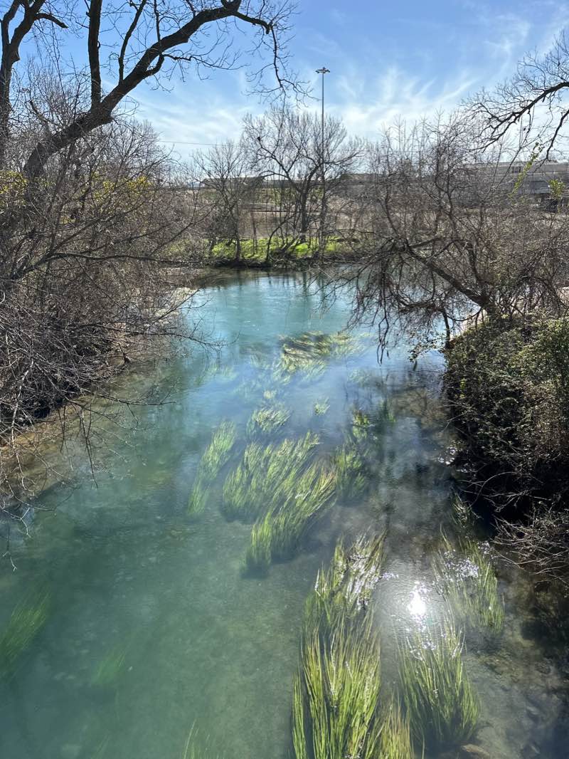 walking near me in Bicentennial Park in winter