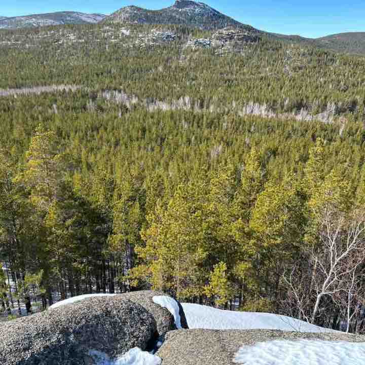 коучинг Tallgatt post image