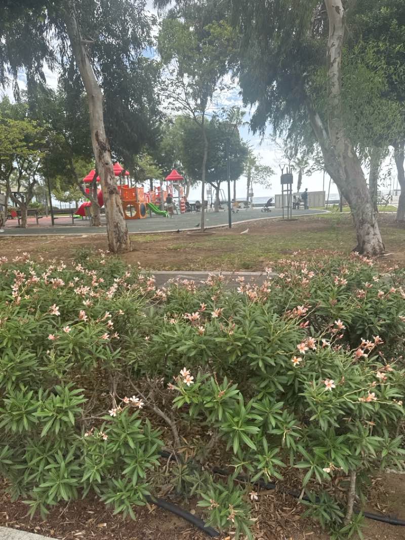 walking near me in Municipal Garden in autumn