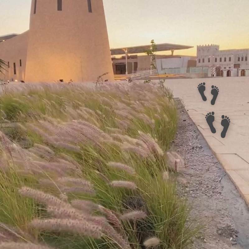 الصحة في مكان العمل {ضُحى }🌸 post image