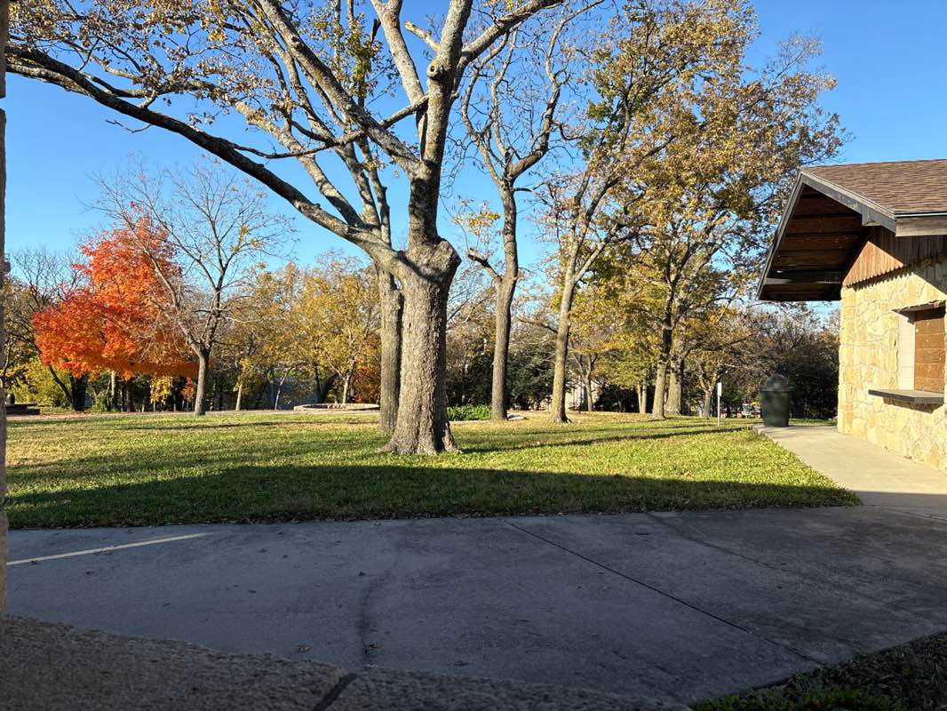 walking near me in Wilson Park in autumn