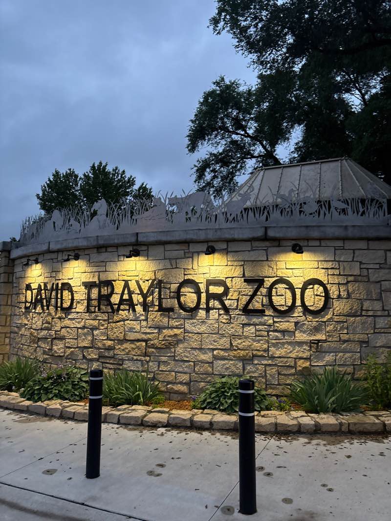 walking near me in David Traylor Zoo in summer