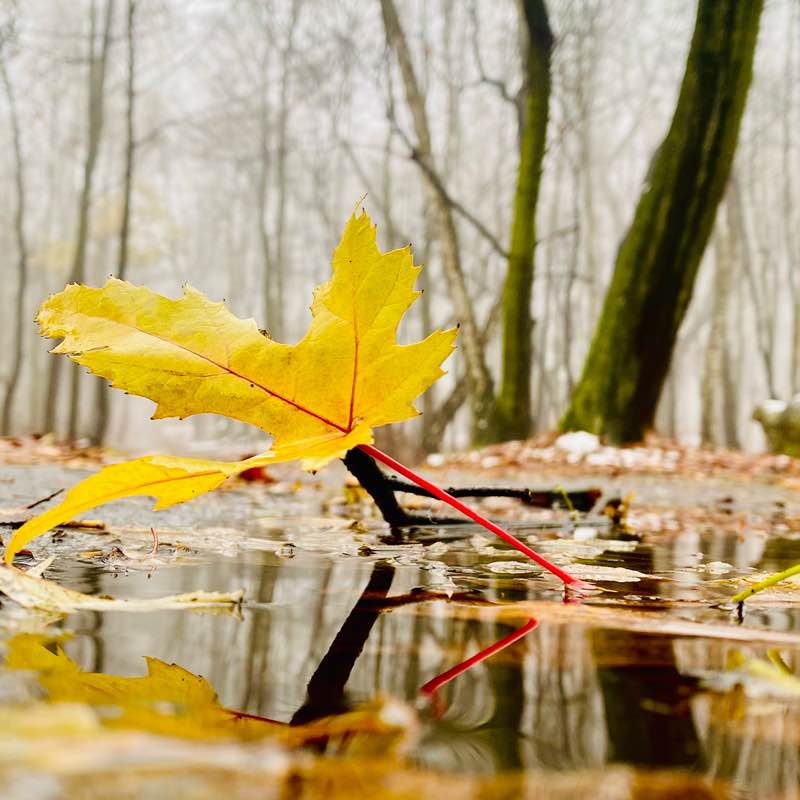 The Year Around Walker’s The Year Around Walker’s post image