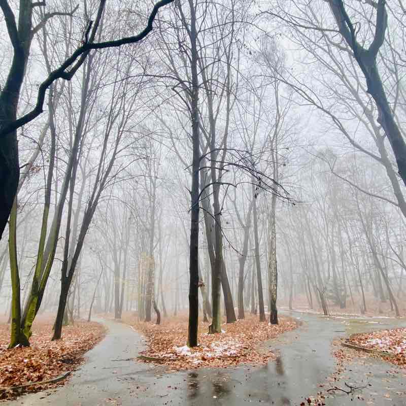 The Year Around Walker’s The Year Around Walker’s post image