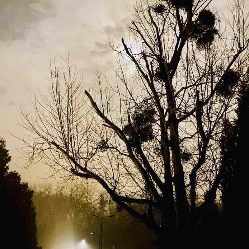 The Year Around Walker’s Mo Nika post image