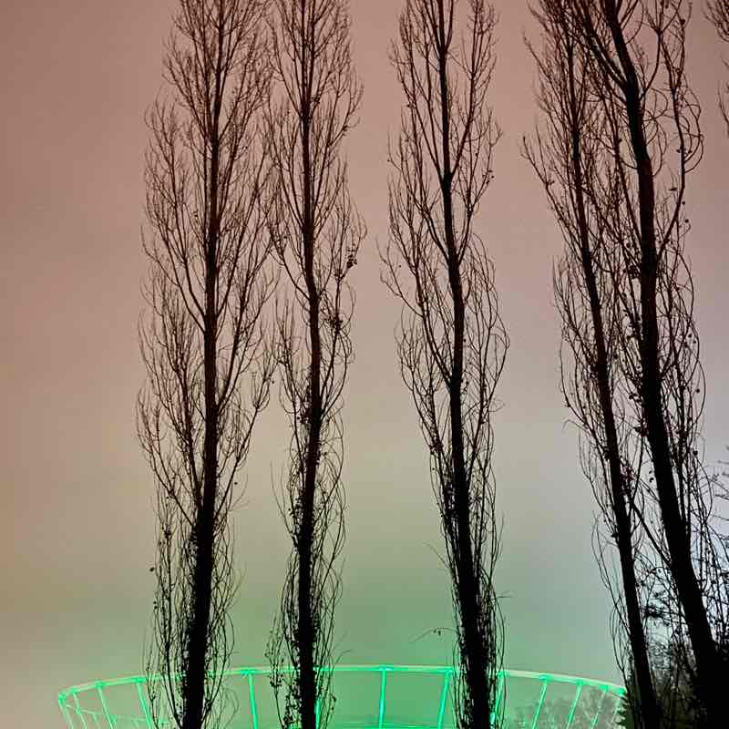 The Year Around Walker’s Mo Nika post image