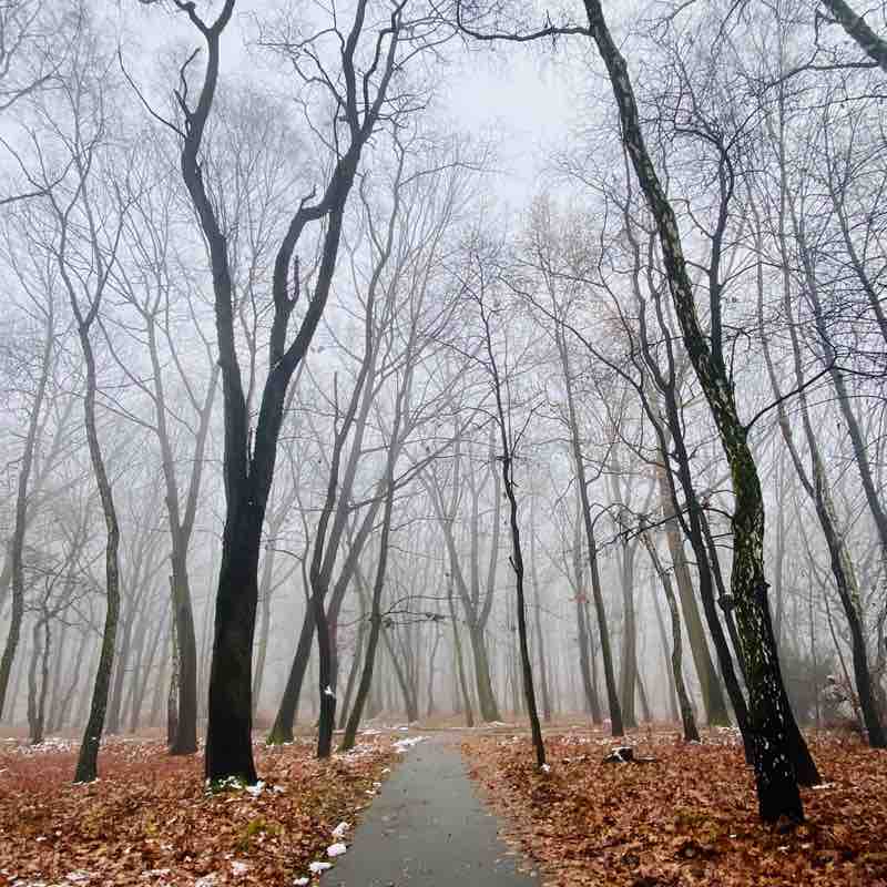 The Year Around Walker’s The Year Around Walker’s post image