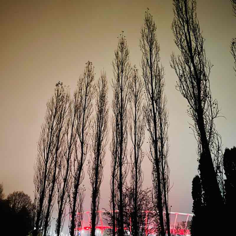 The Year Around Walker’s Mo Nika post image