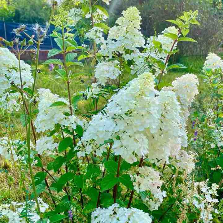 🇵🇱😍BEAUTIFUL POLAND😍🇵🇱 Mo Nika post image