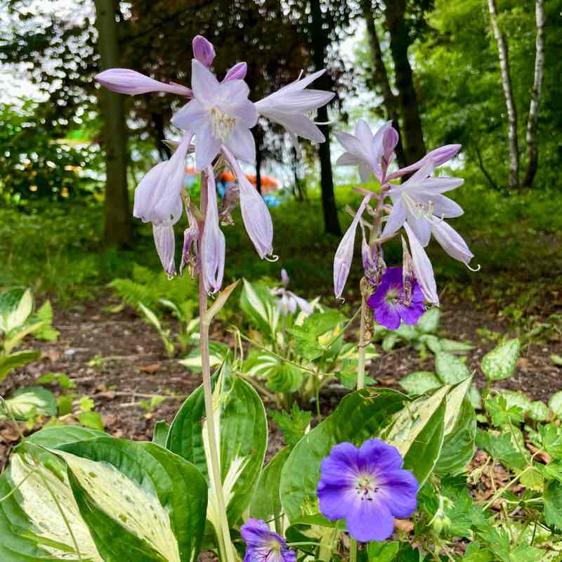 🇵🇱😍BEAUTIFUL POLAND😍🇵🇱 Mo Nika post image