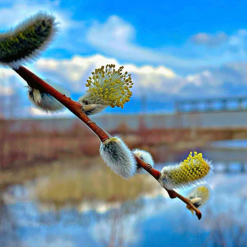 💖🥳DREAM TEAM 🥳💖 💖🥳DREAM TEAM 🥳💖 post image