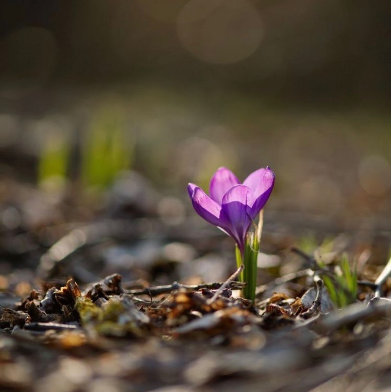 💖🥳DREAM TEAM 🥳💖 💖🥳DREAM TEAM 🥳💖 post image