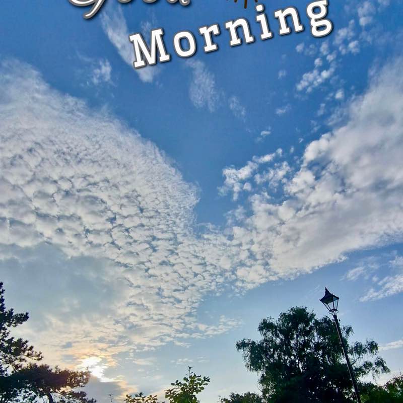 The Year Around Walker’s The Year Around Walker’s post image