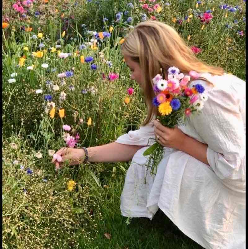 The Freedom Walker’s The Freedom Walker’s post image