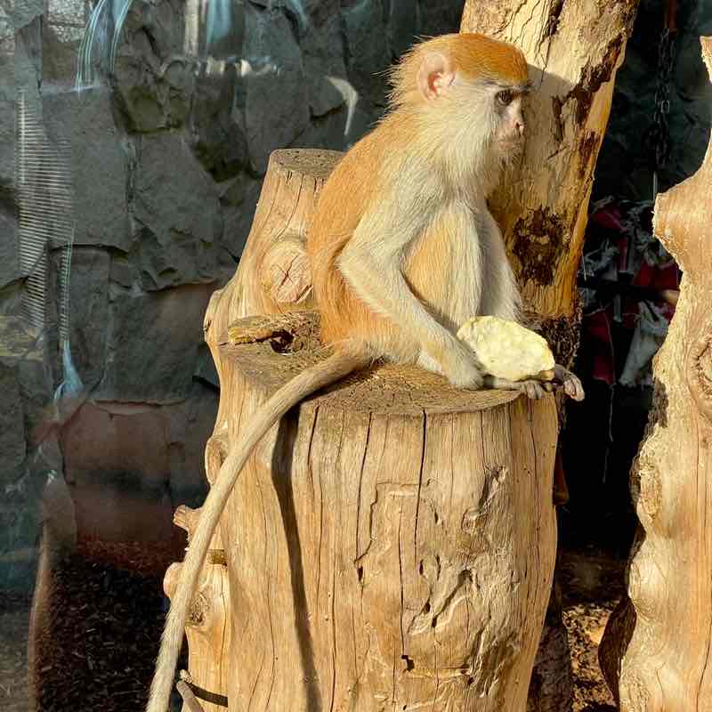 The Year Around Walker’s The Year Around Walker’s post image