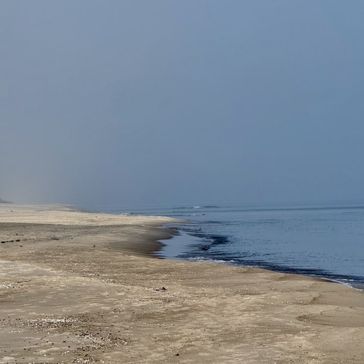 Mo Nika 🌸🐾 post 2