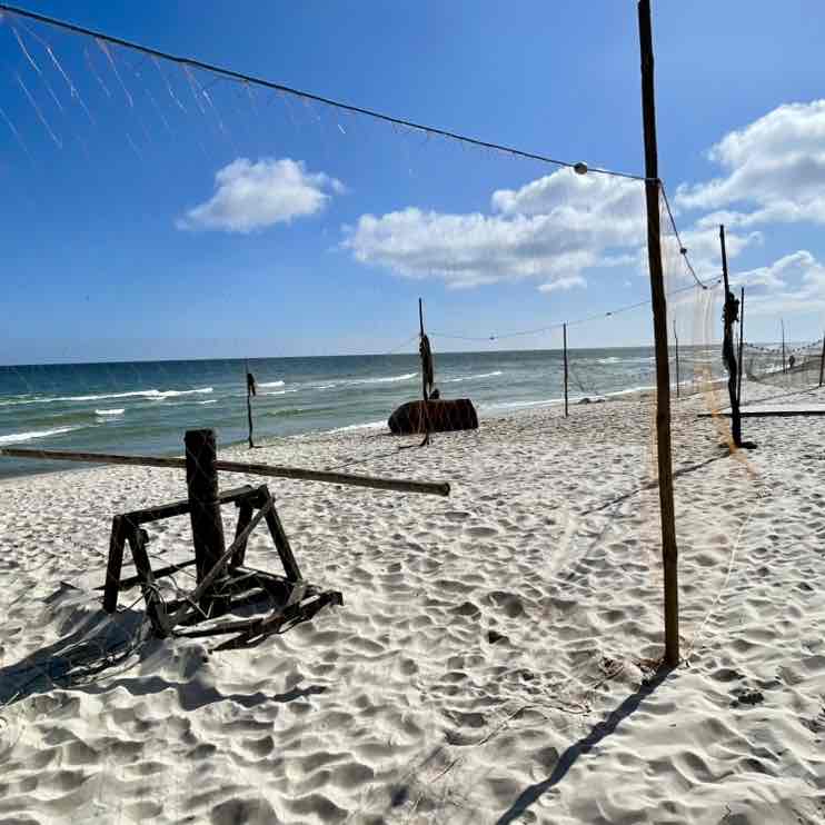 The Year Around Walker’s The Year Around Walker’s post image