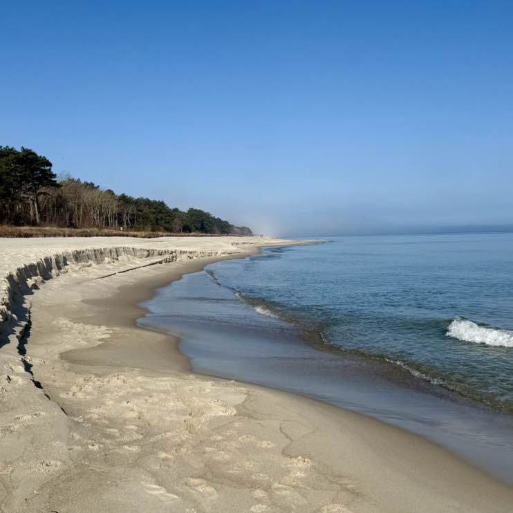 Mo Nika 🌸🐾 post 1