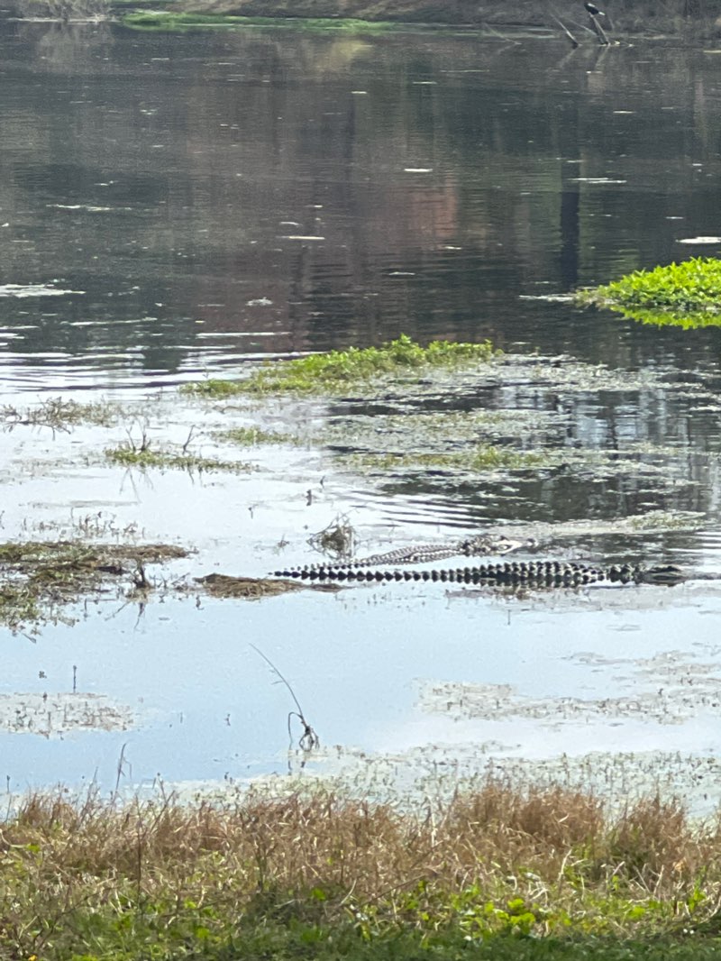 walking near me in Jarvis Creek Park in winter