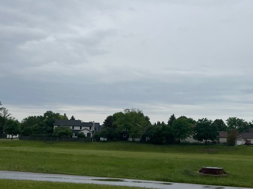 walking near me in Birchbark Sport Fields in summer