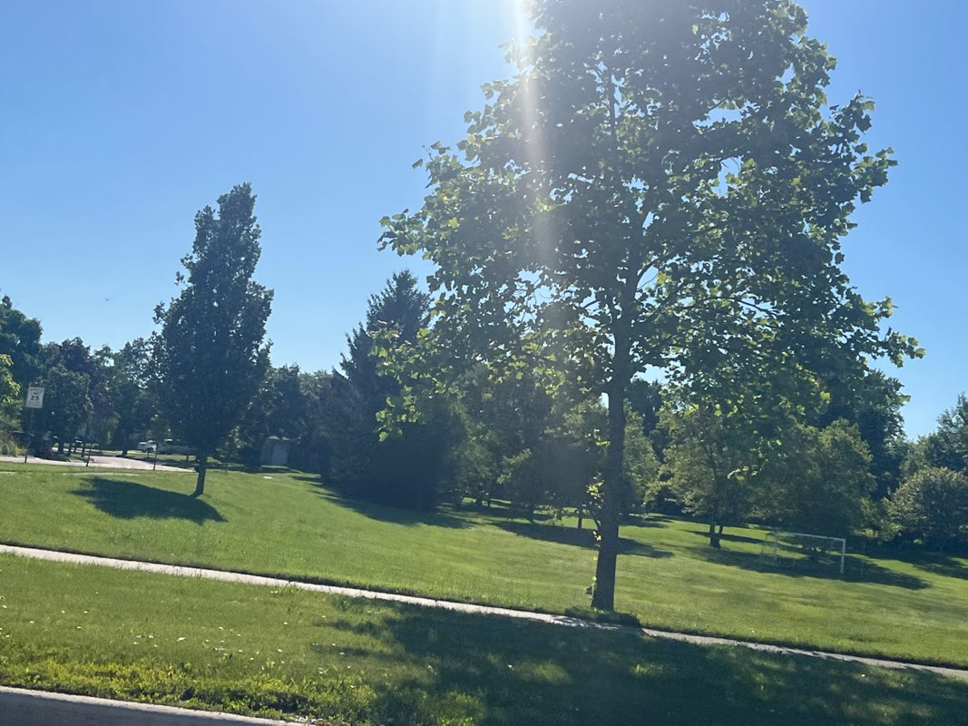 walking near me in Sundance Park in summer