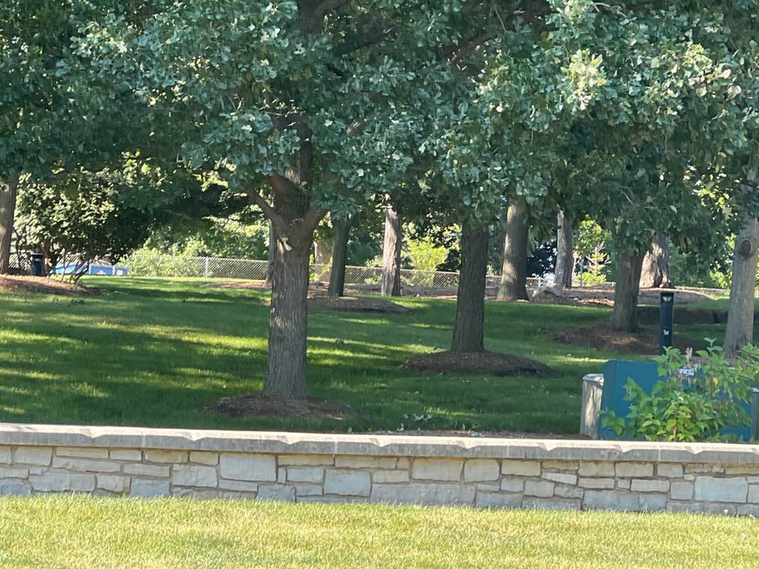walking near me in Veterans Memorial Park in summer