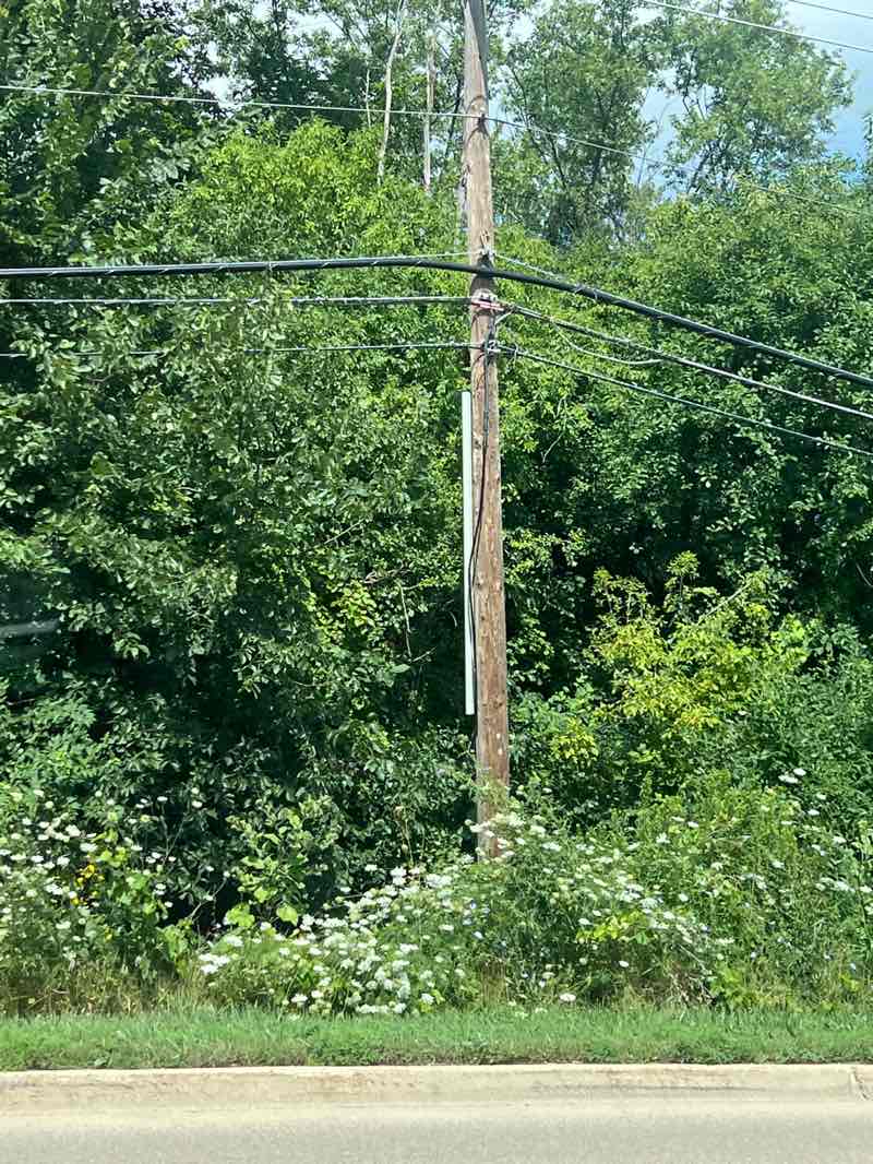 walking near me in Prairie Trail Park in summer