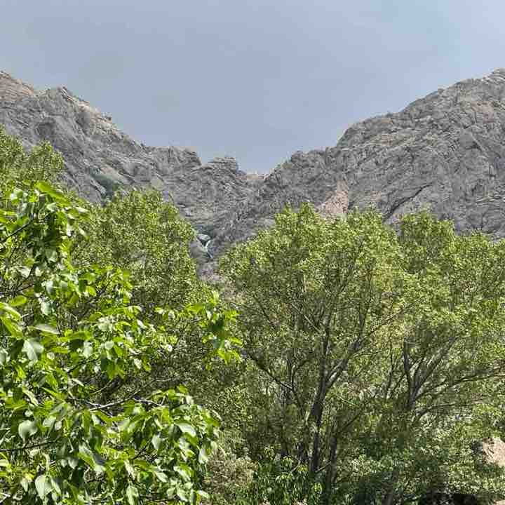 saba post 1
