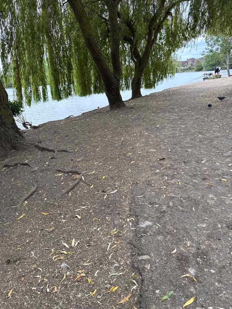 walking near me in Furzton Lake in summer