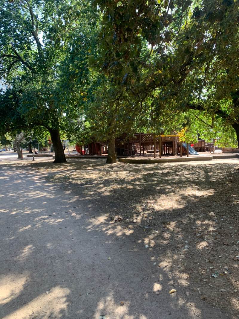 walking near me in Lake Wendouree Gardens in summer