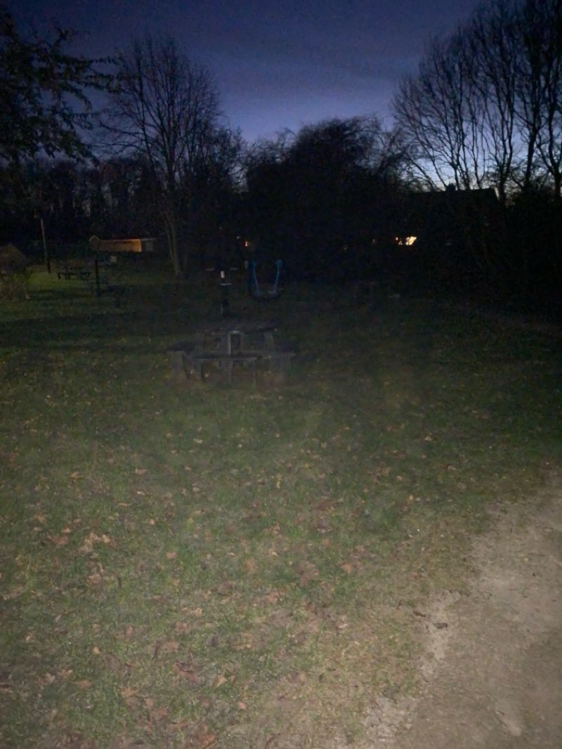 walking near me in Millenium Green in winter