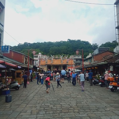 我是新北人 陳蚊子(水蚊子） post image